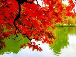 Lake Arrowhead Autumn