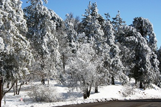 Lake Arrownead in the Snow